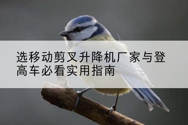 南溪电动升降机厂家-选移动剪叉升降机厂家与登高车必看实用指南