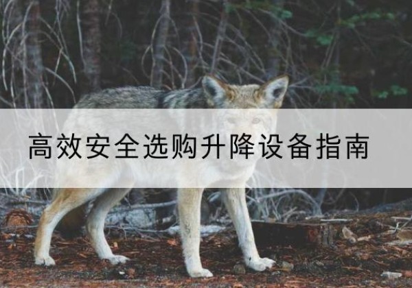 南溪升降货梯厂家推荐-*安全选购升降设备指南